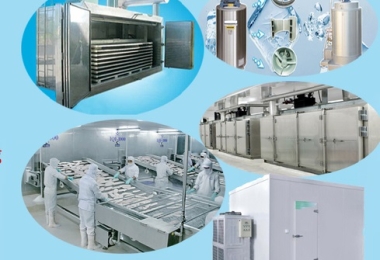 THI CÔNG HỆ THỐNG LẠNH CÔNG NGHIỆP